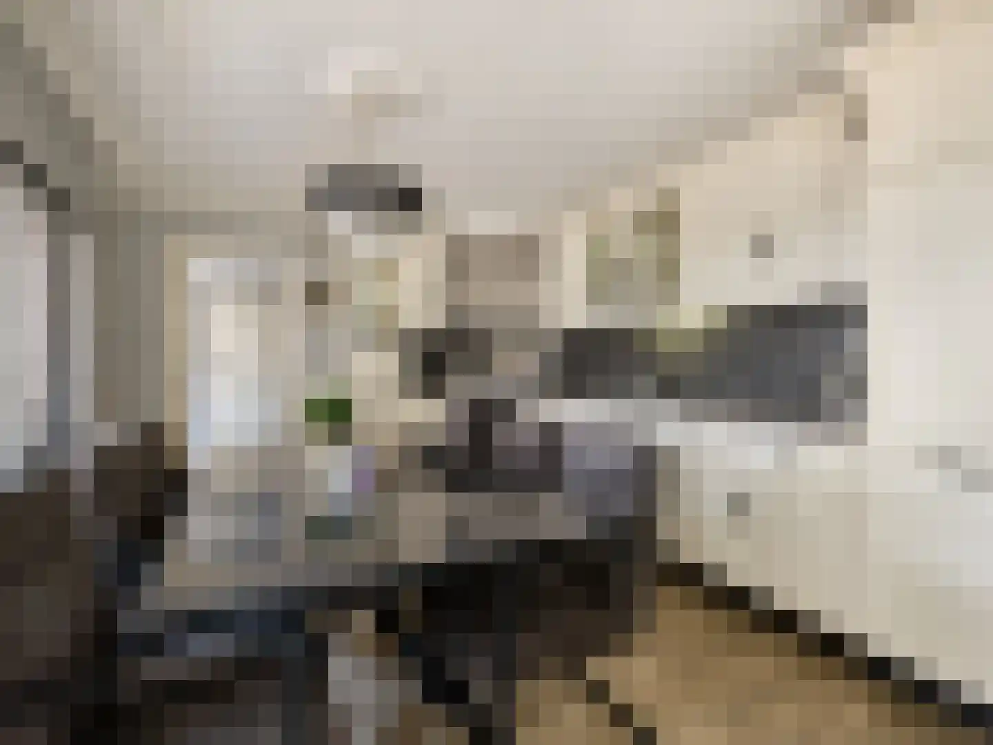 Margrietstraat 3 St. Willebrord thumbnail 7