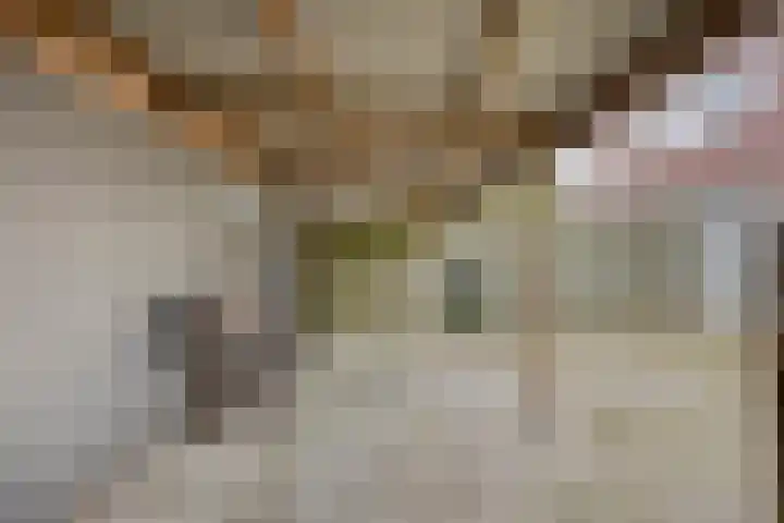 Margrietstraat 30 Zetten thumbnail 24