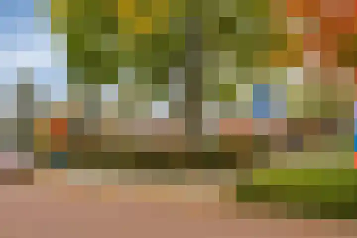 Margrietstraat 30 Zetten thumbnail 27