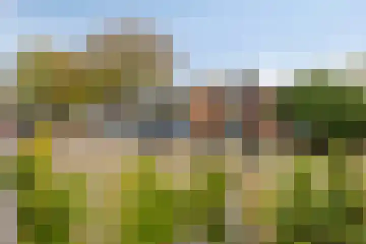 Margrietstraat 30 Zetten thumbnail 28