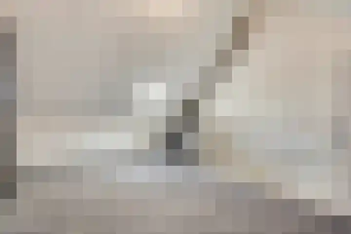 Margrietstraat 31 Elst Ut thumbnail 25