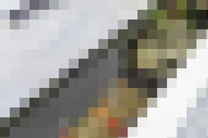 Margrietstraat 31 Elst Ut thumbnail 31