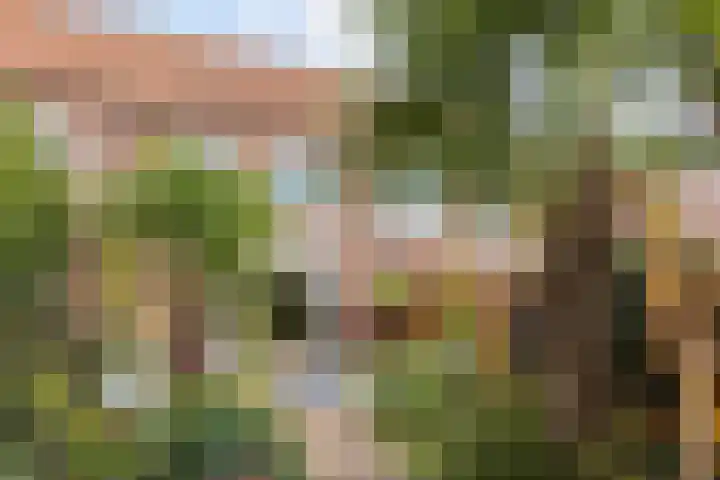 Margrietstraat 31 Elst Ut thumbnail 35