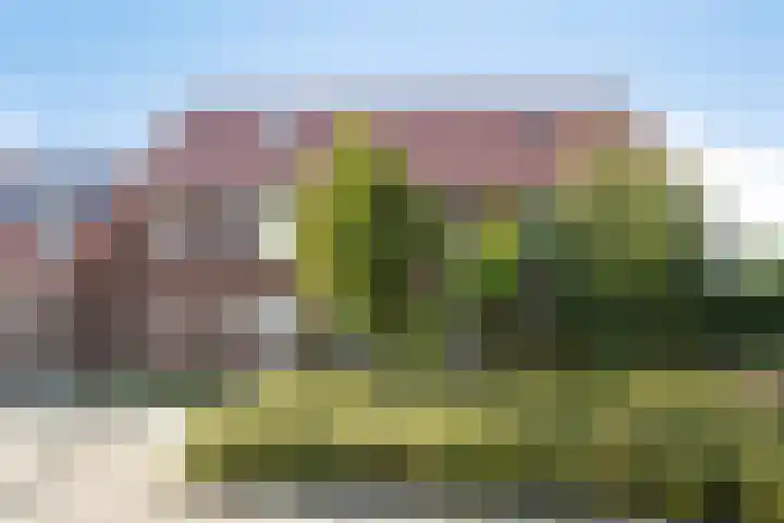 Margrietstraat 31 Elst Ut thumbnail 36
