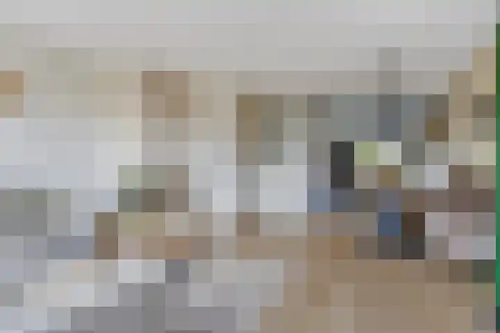 Margrietstraat 31 Elst Ut thumbnail 5
