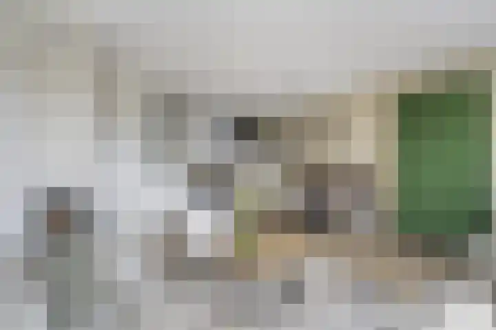 Margrietstraat 31 Elst Ut thumbnail 7