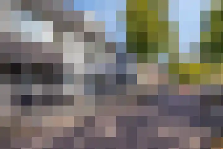 Margrietstraat 31 Uden thumbnail 4