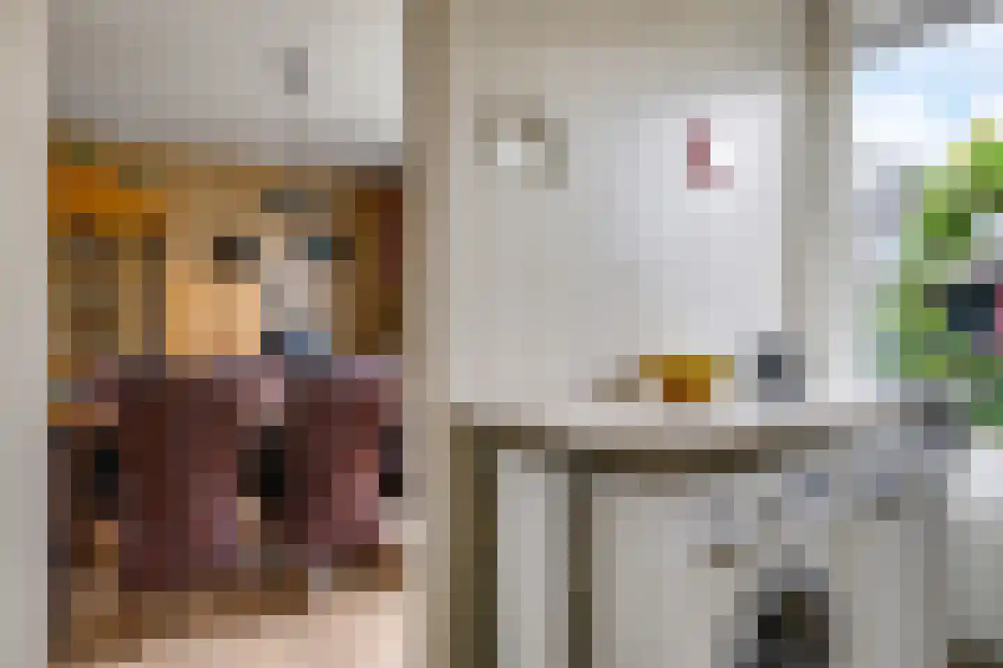 Margrietstraat 31 Zetten thumbnail 19