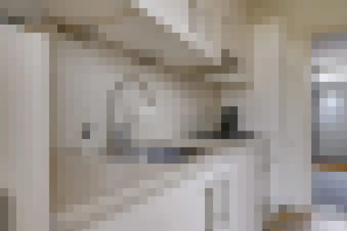 Margrietstraat 31 Zetten thumbnail 20