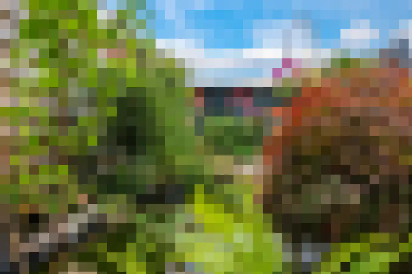 Margrietstraat 31 Zetten thumbnail 46