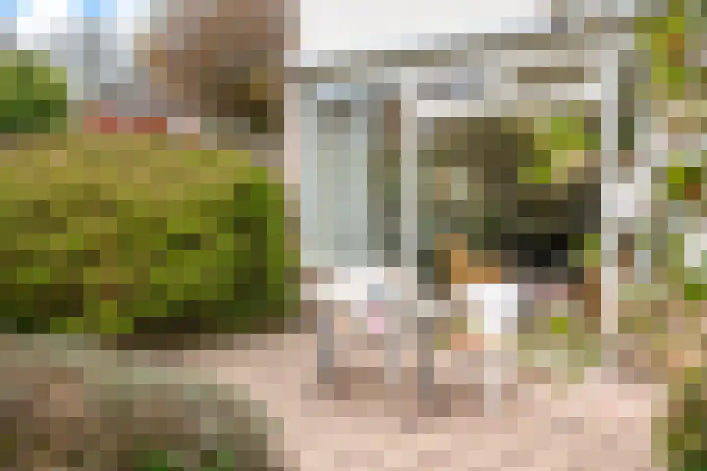 Margrietstraat 32 Oosterbeek thumbnail 53