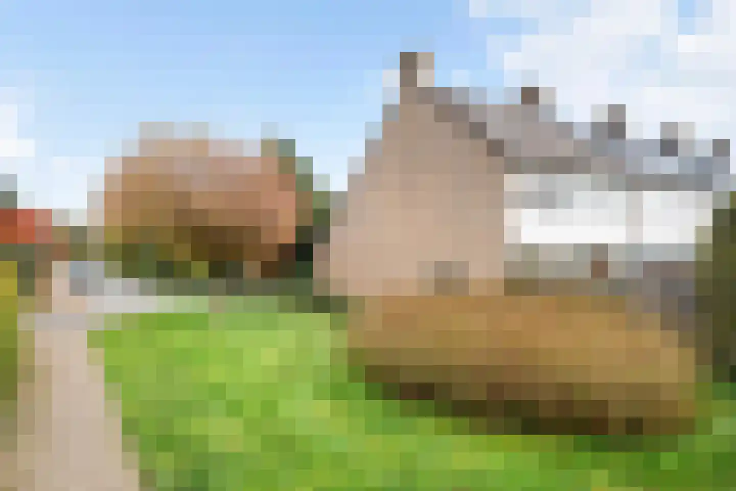 Margrietstraat 32 Oosterbeek thumbnail 59