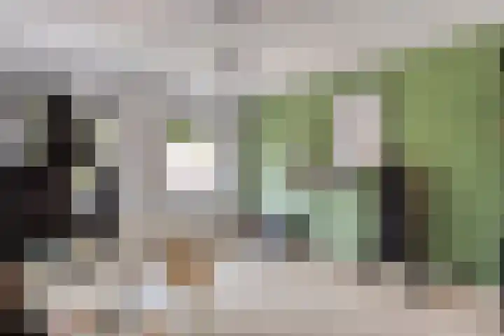 Margrietstraat 32 Terneuzen thumbnail 13