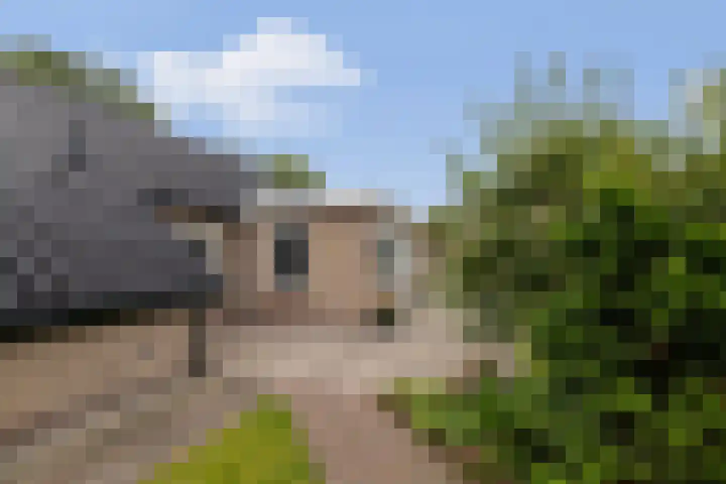 Margrietstraat 35 Zeijen thumbnail 28