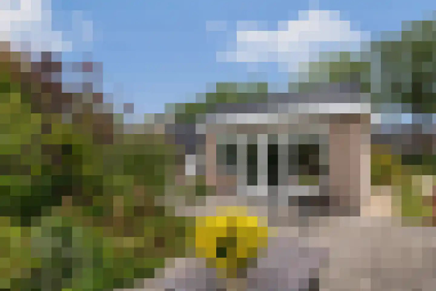 Margrietstraat 35 Zeijen thumbnail 29