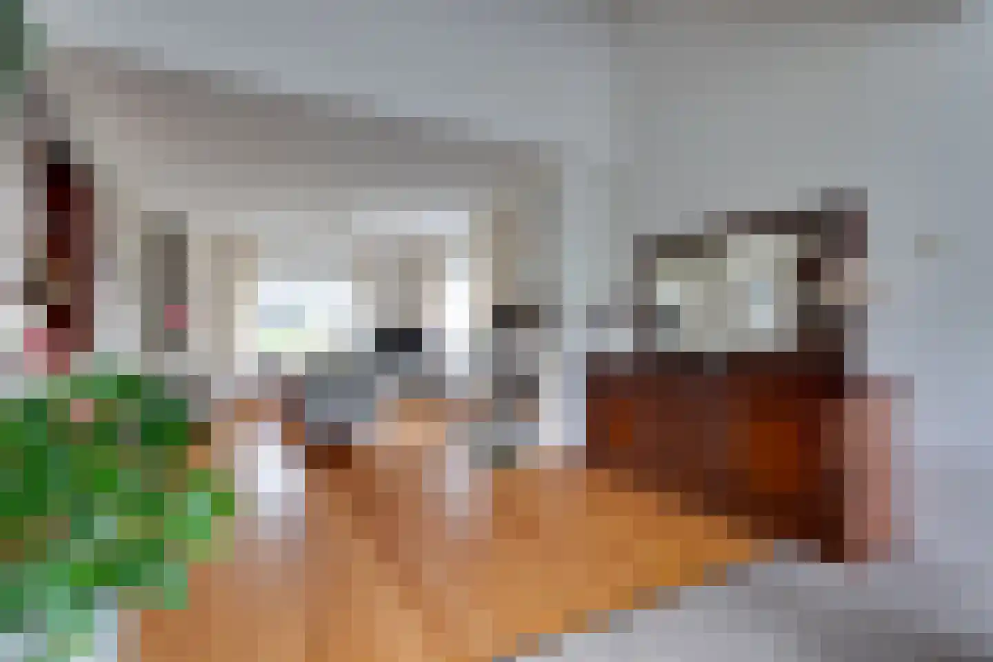 Margrietstraat 35 Zeijen thumbnail 8
