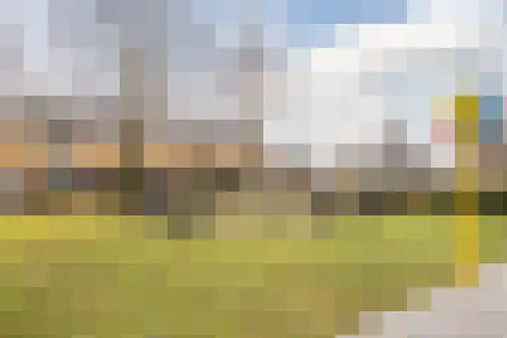 Margrietstraat 36 Voorhout thumbnail 35