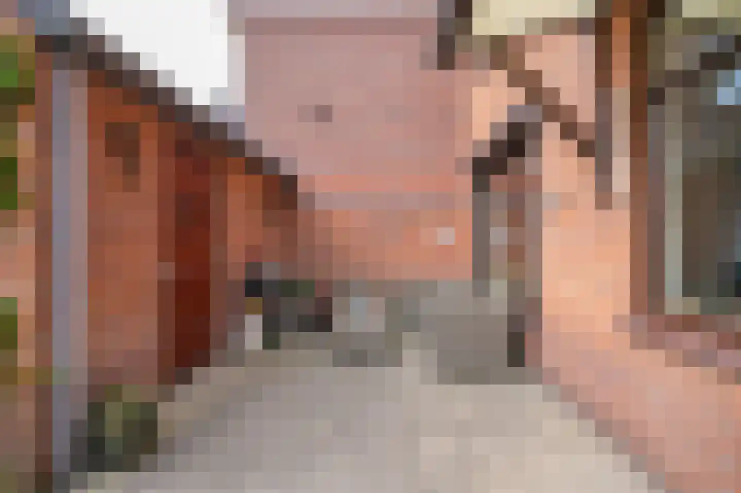 Margrietstraat 4 b Dreumel thumbnail 26