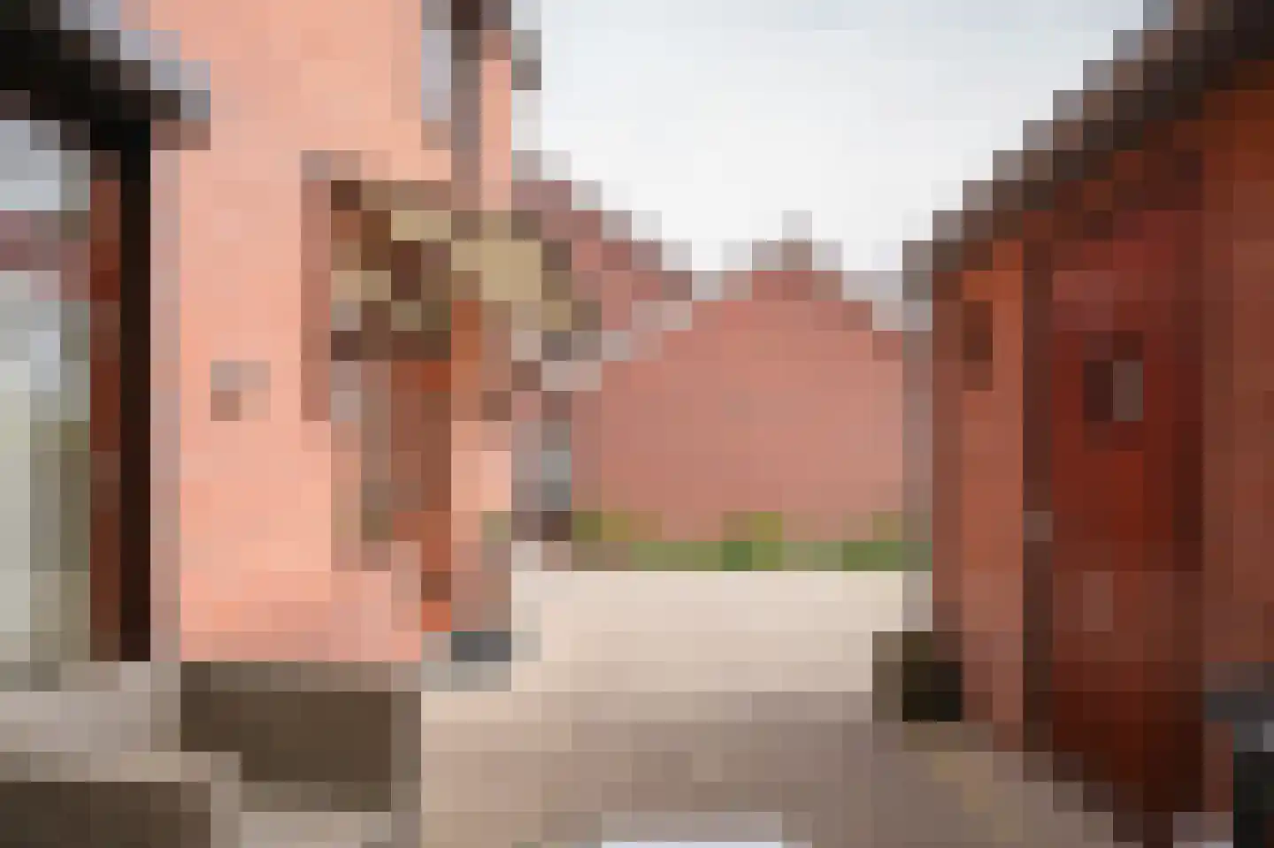 Margrietstraat 4 b Dreumel thumbnail 29