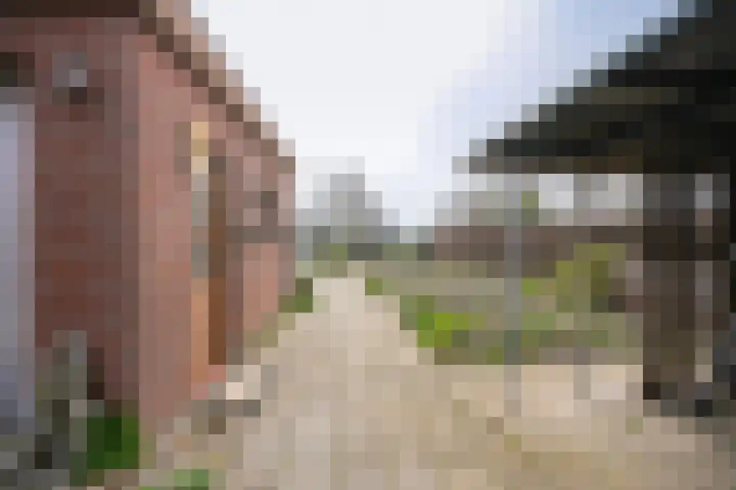 Margrietstraat 4 b Dreumel thumbnail 32