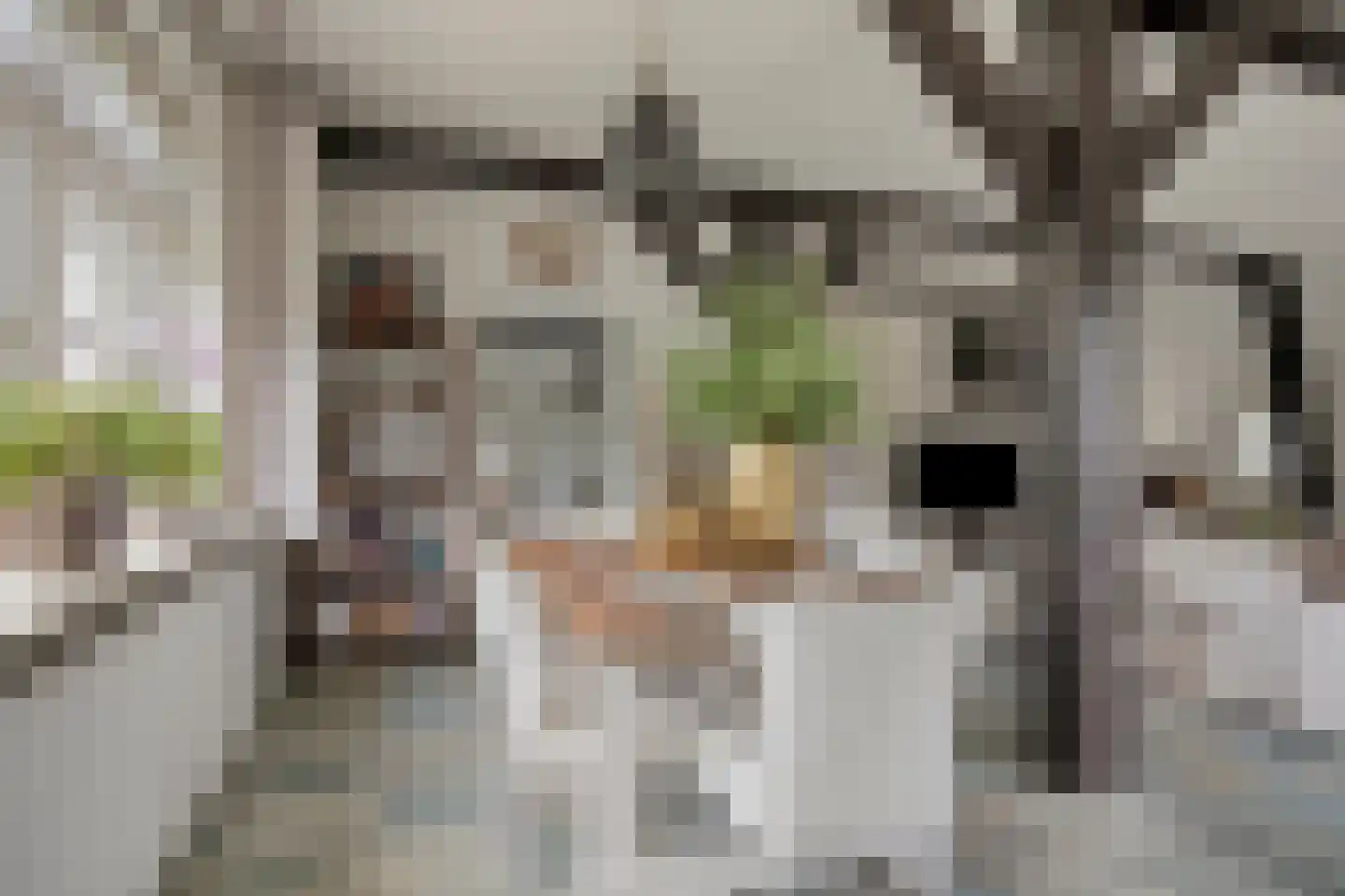Margrietstraat 4 Dreumel thumbnail 15