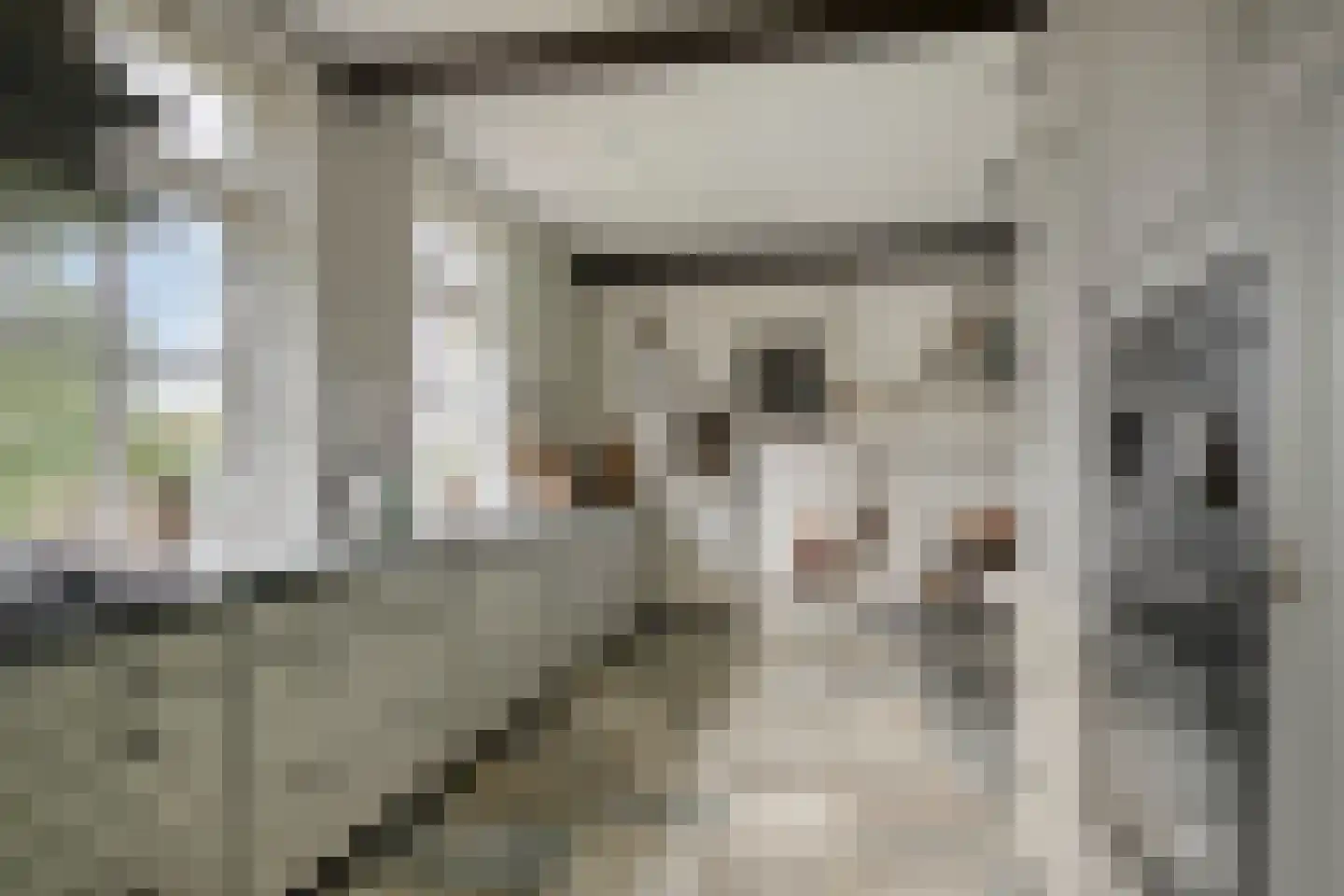 Margrietstraat 4 Dreumel thumbnail 18