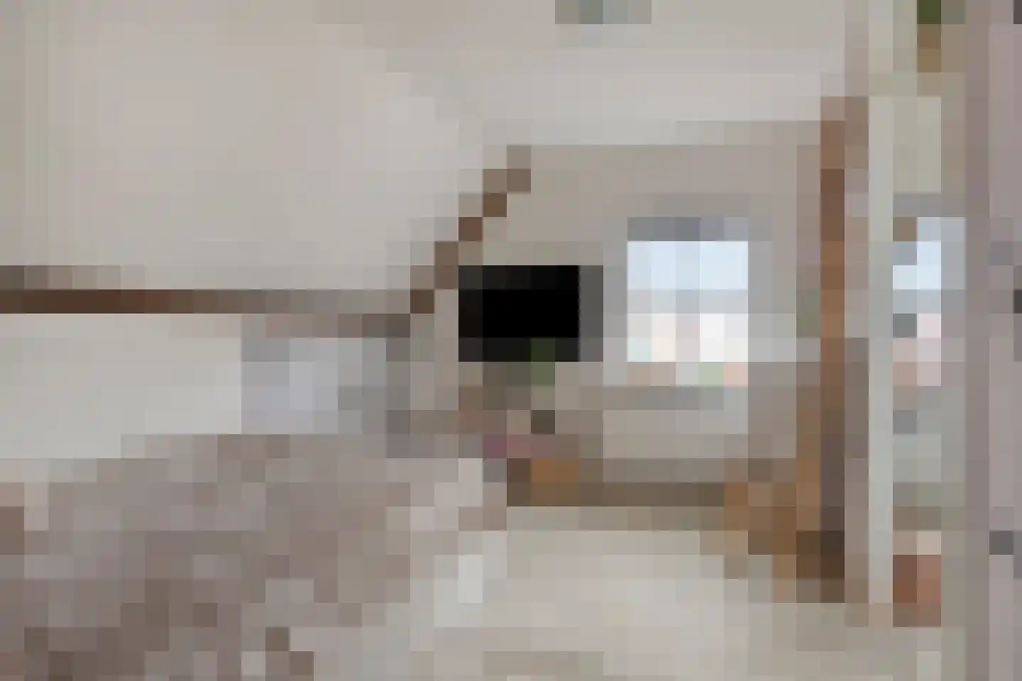 Margrietstraat 4 Dreumel thumbnail 29