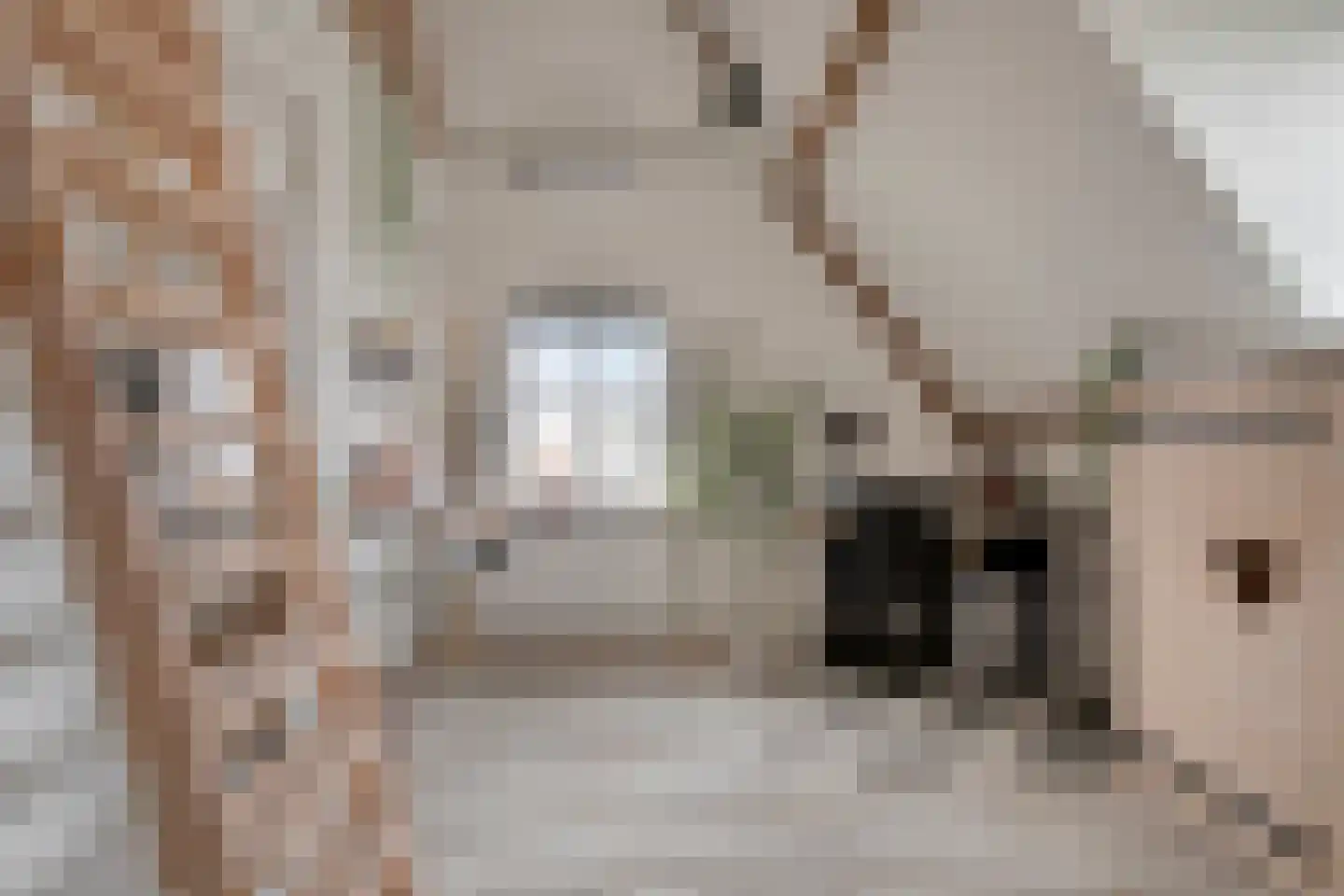 Margrietstraat 4 Dreumel thumbnail 30