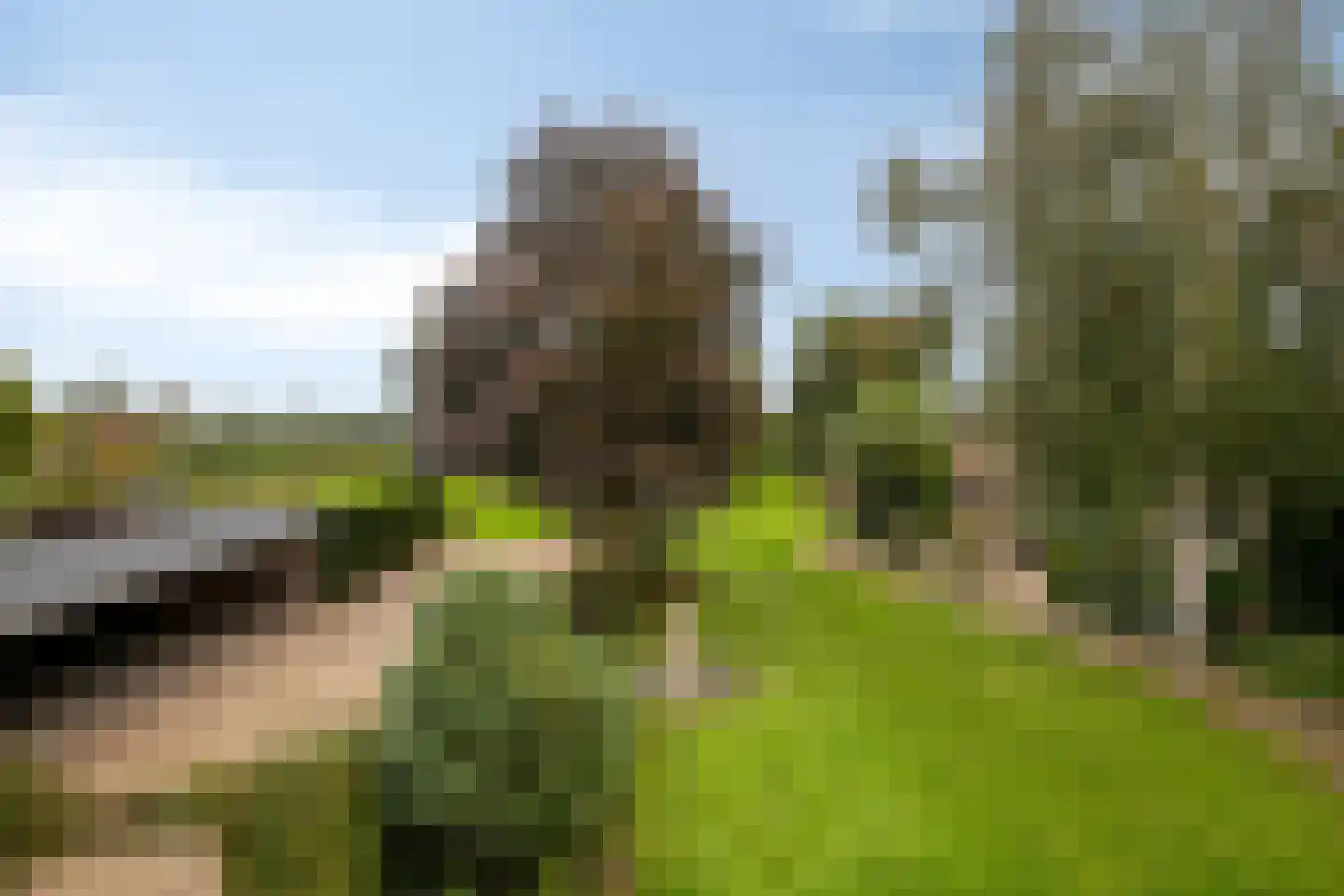 Margrietstraat 4 Dreumel thumbnail 38