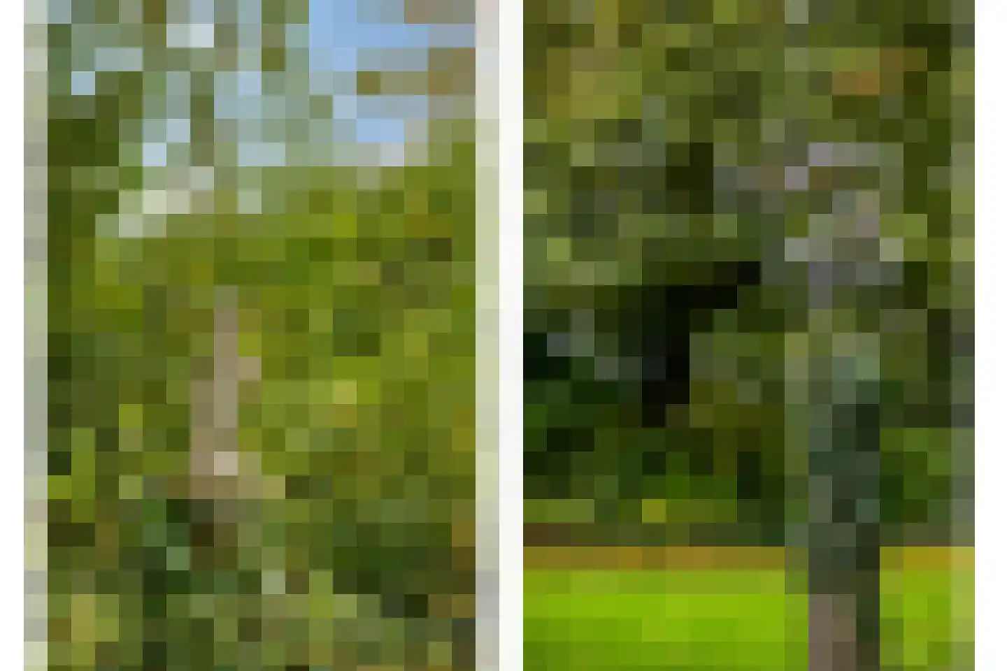 Margrietstraat 4 Dreumel thumbnail 39