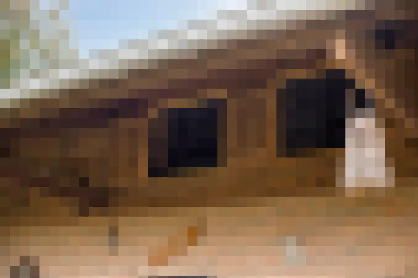Margrietstraat 4 Dreumel thumbnail 41