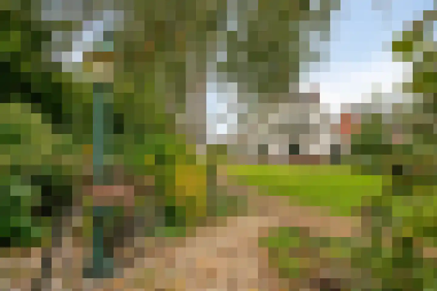 Margrietstraat 4 Dreumel thumbnail 51