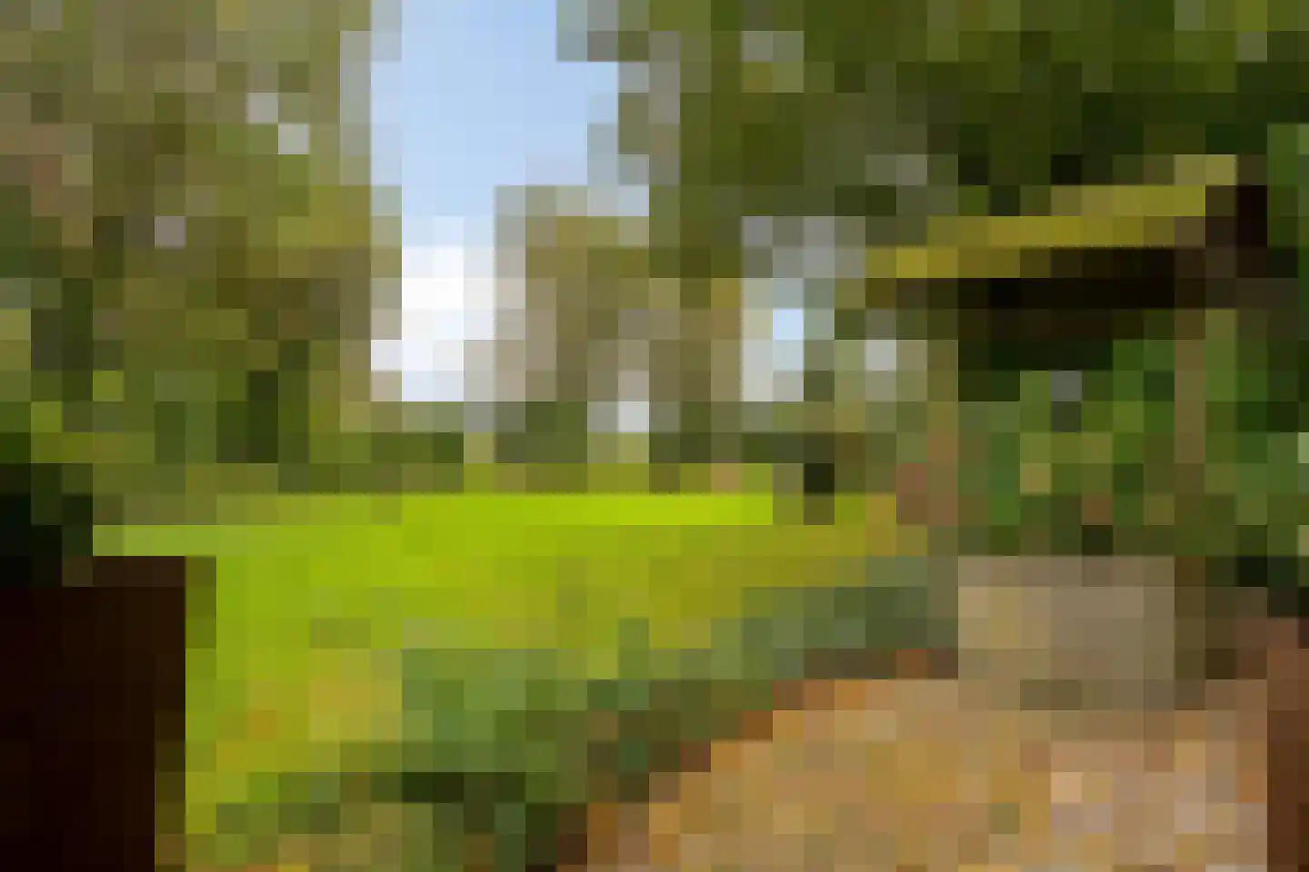 Margrietstraat 4 Dreumel thumbnail 52