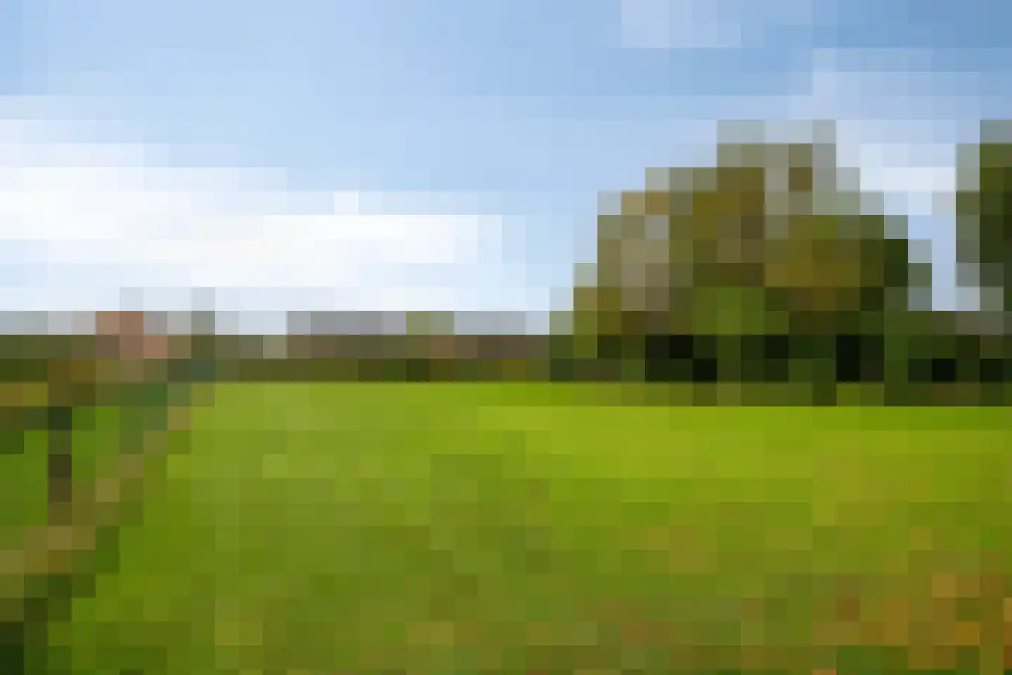 Margrietstraat 4 Dreumel thumbnail 53