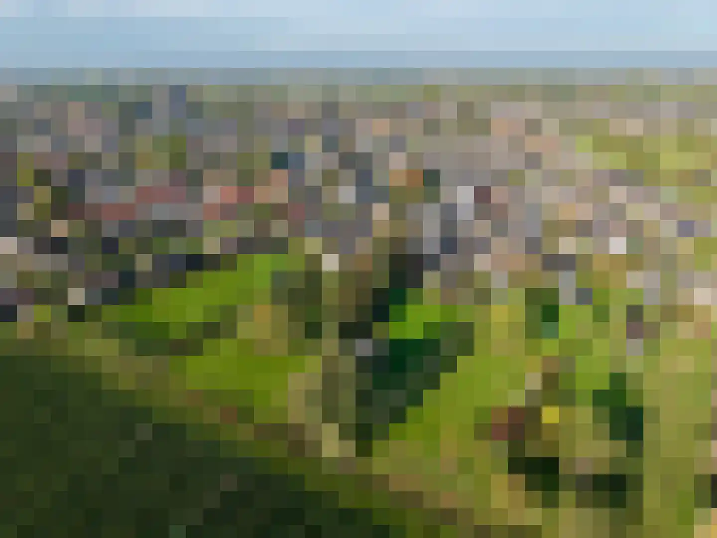 Margrietstraat 4 Dreumel thumbnail 58