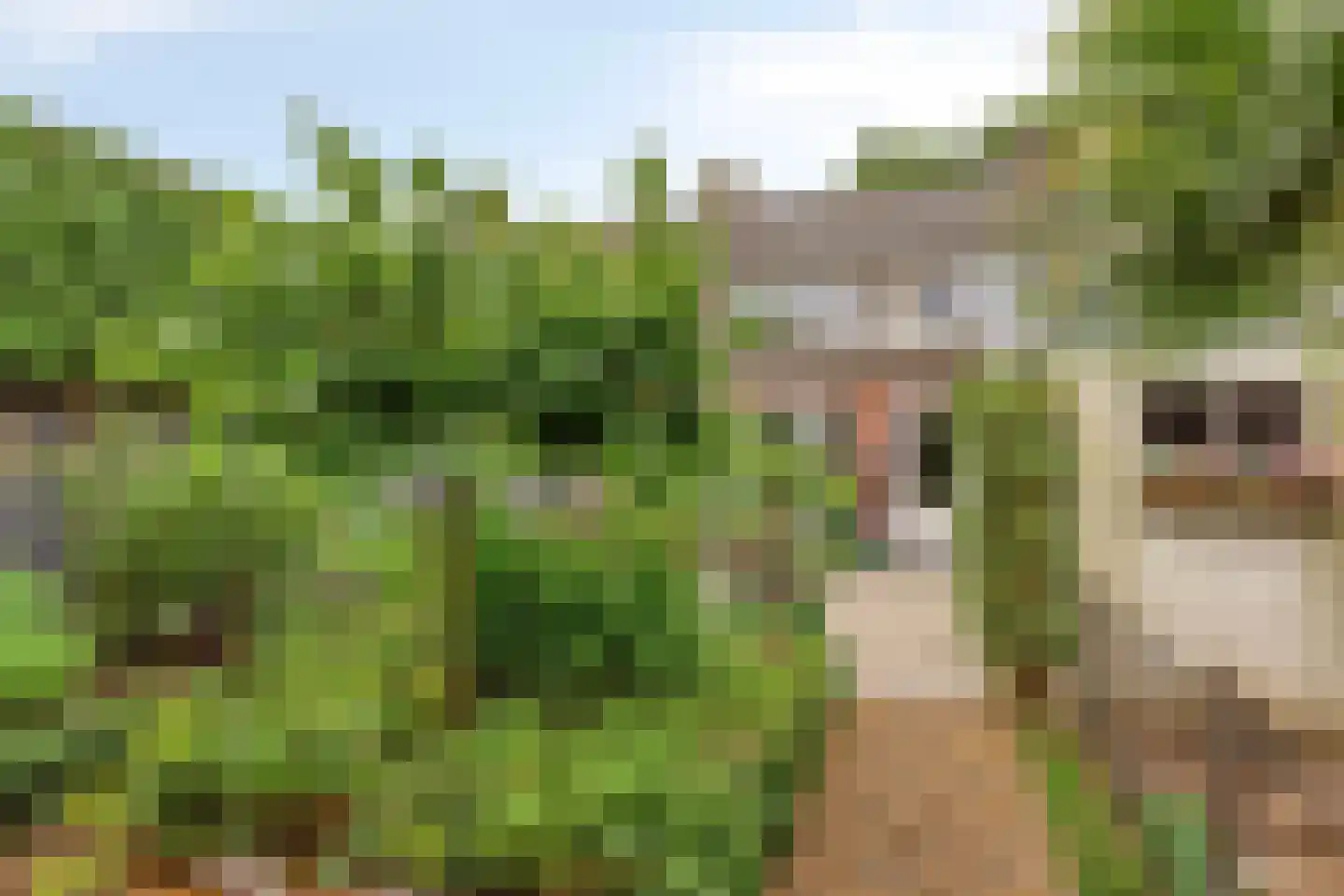 Margrietstraat 4 Maarheeze thumbnail 31