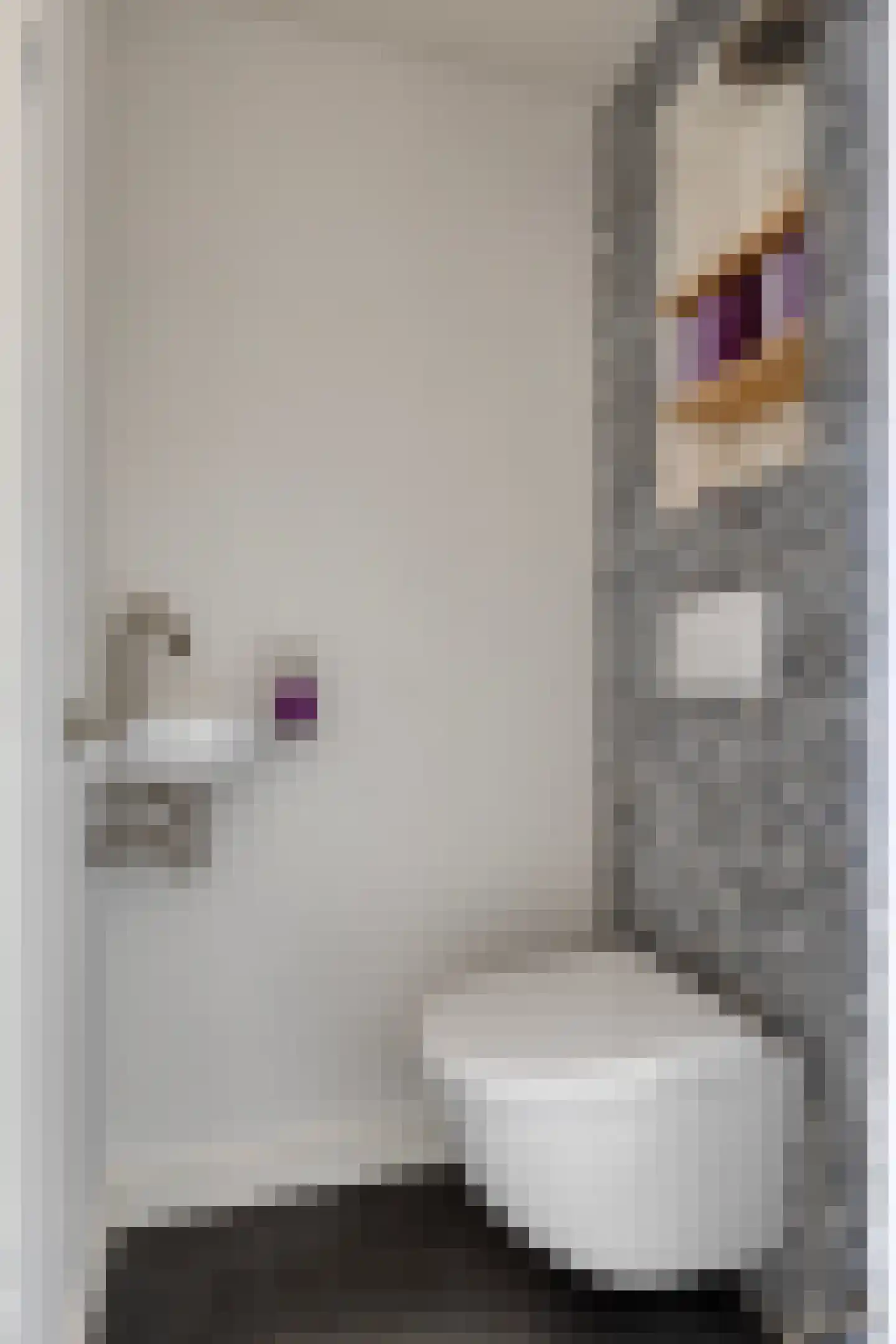 Margrietstraat 4 Maarheeze thumbnail 8