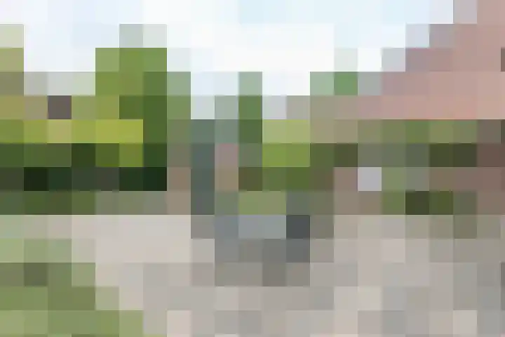 Margrietstraat 4 Merkelbeek thumbnail 23