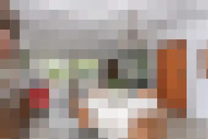 Margrietstraat 4 Merkelbeek thumbnail 6