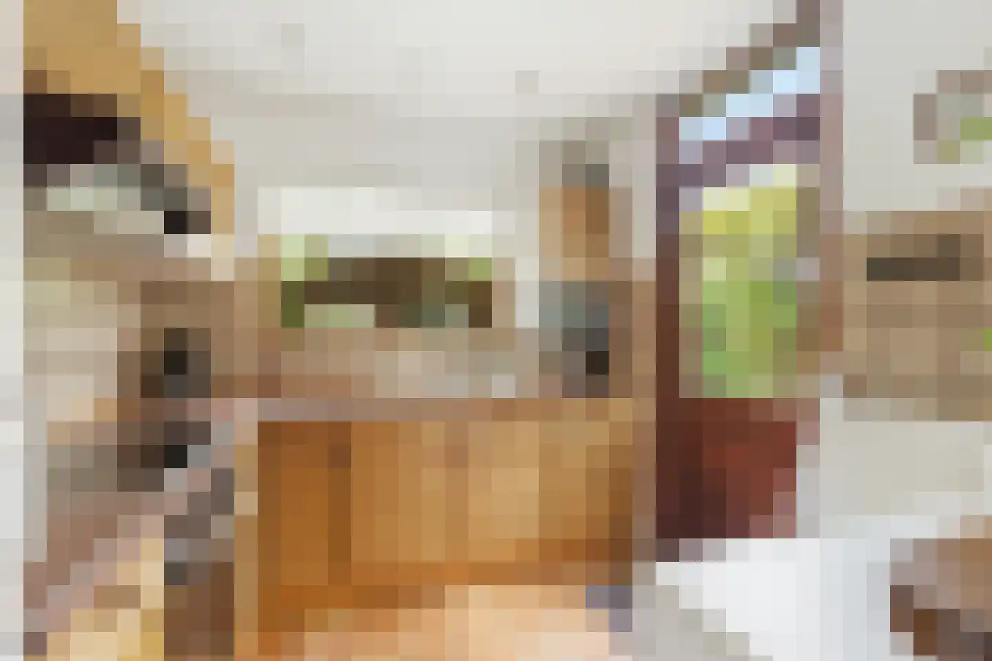 Margrietstraat 4 Poortugaal thumbnail 15