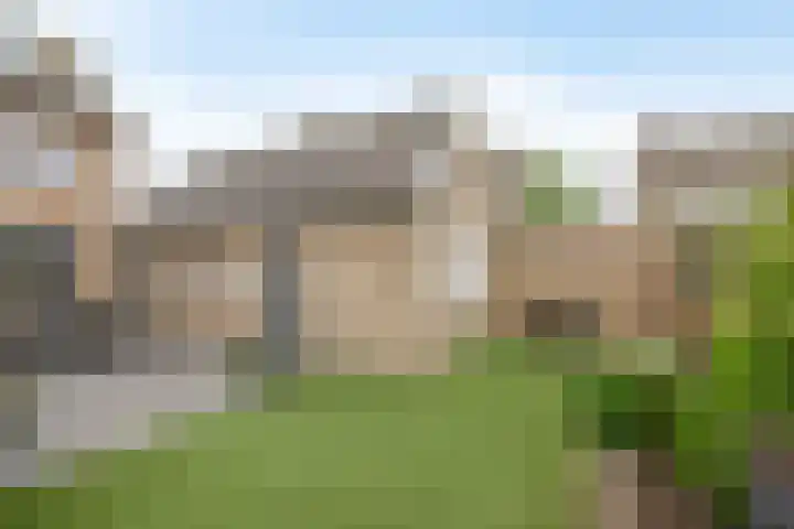 Margrietstraat 4 Sprang-Capelle thumbnail 12