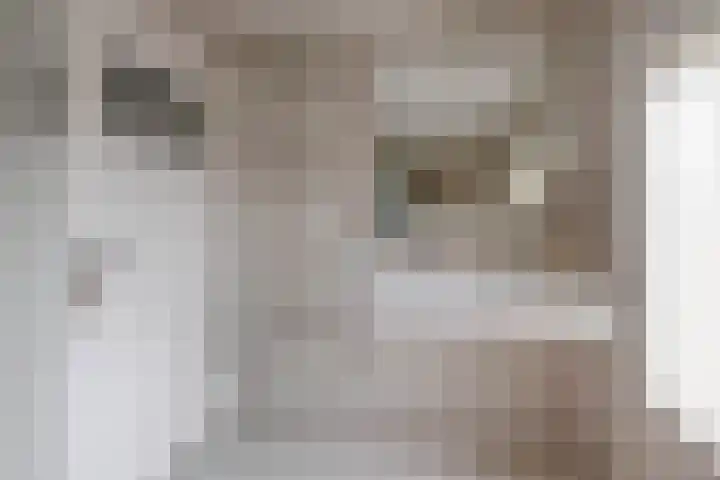 Margrietstraat 4 Sprang-Capelle thumbnail 20