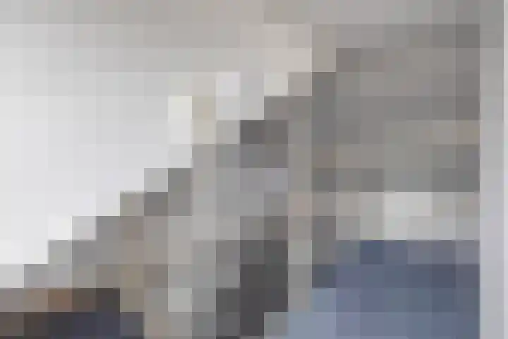 Margrietstraat 4 Sprang-Capelle thumbnail 24