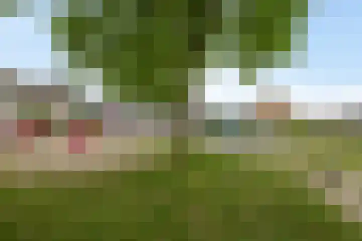Margrietstraat 4 Sprang-Capelle thumbnail 27
