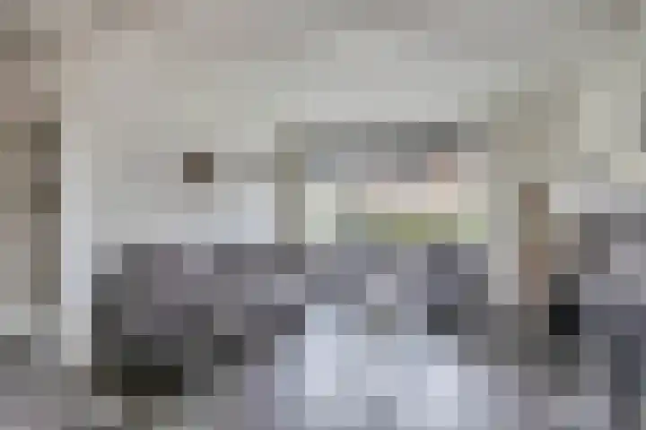 Margrietstraat 4 Sprang-Capelle thumbnail 4