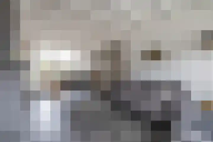 Margrietstraat 4 Sprang-Capelle thumbnail 6