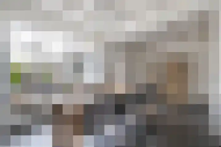Margrietstraat 4 Sprang-Capelle thumbnail 7