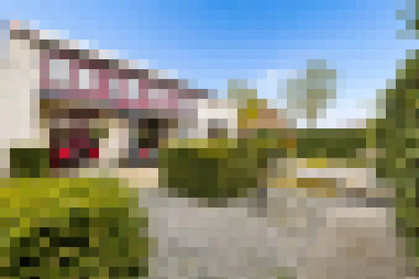 Margrietstraat 40 Rijen thumbnail 35