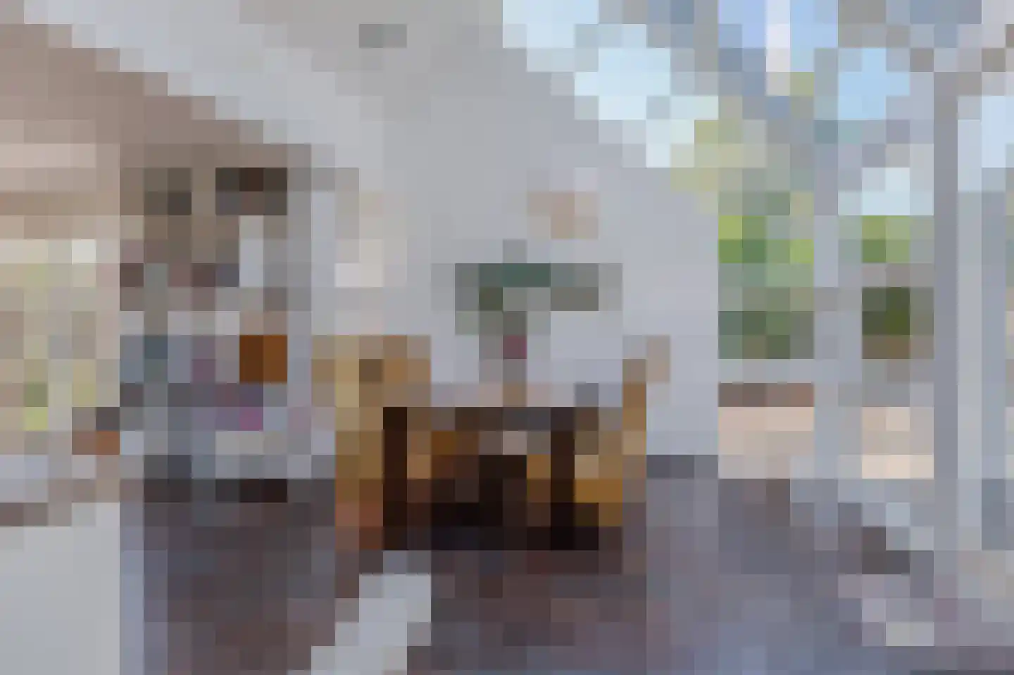 Margrietstraat 42 Zeijen thumbnail 22