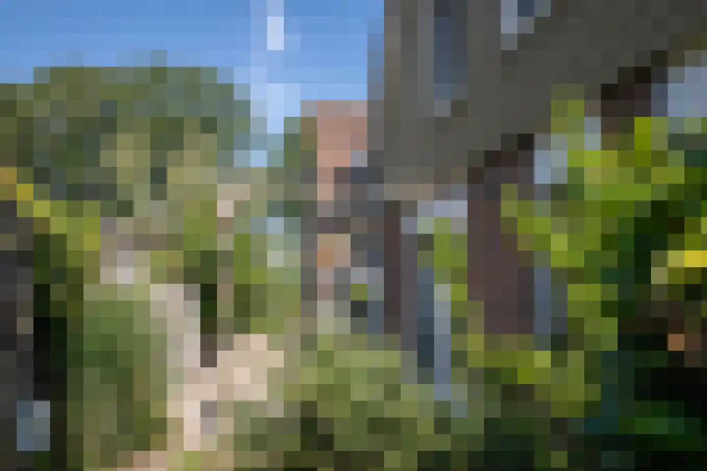 Margrietstraat 42 Zeijen thumbnail 44